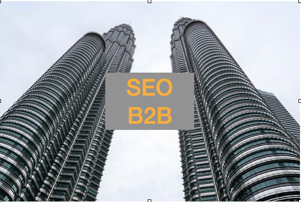 SEO B2B-Xenesis
